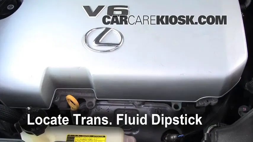 Headlight Bulb Replacement: 2008 Lexus RX350 3.5L V6